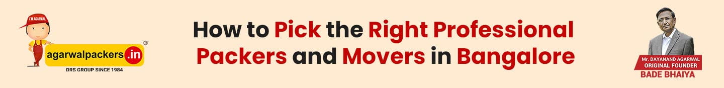 How to Pick the Right Professional Packers and Movers in Bangalore