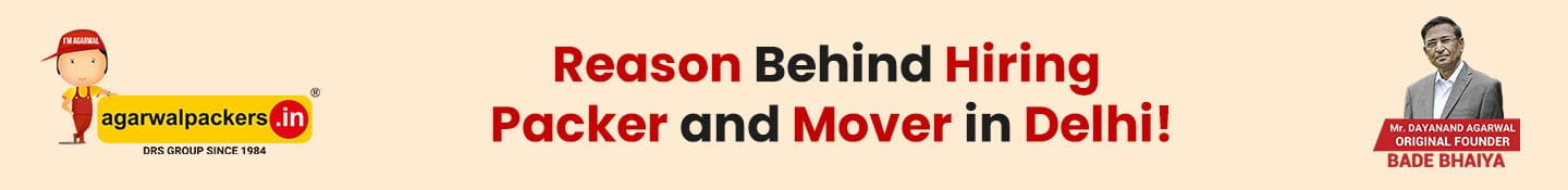 Reason behind Hiring Packer and Mover in Delhi!