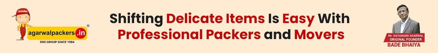 Shifting Delicate Items is Easy with Professional Packers and Movers