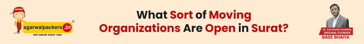 What Sort Of Moving Organizations Are Open In Surat?