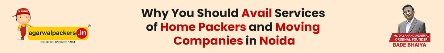 Why you should avail services of home packers and moving companies in Noida